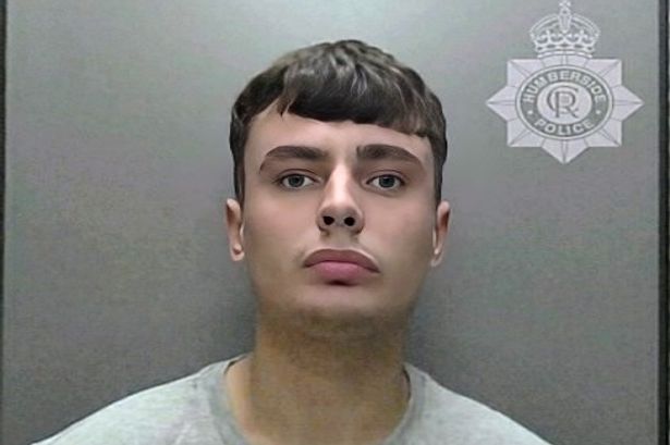 High-Speed Chase Ends with Police Dog Bite in Hull