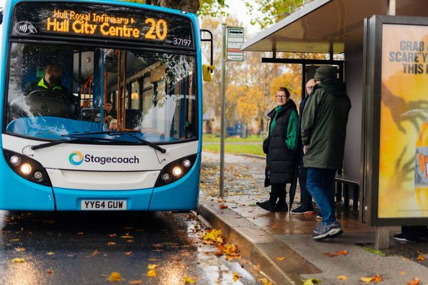 Hull Council Invites Public Input on Future Bus Stop Enhancements