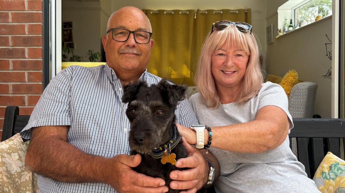 Local Couple's Dog Hospitalised After Adder Bite: A Cautionary Tale for Pet Owners