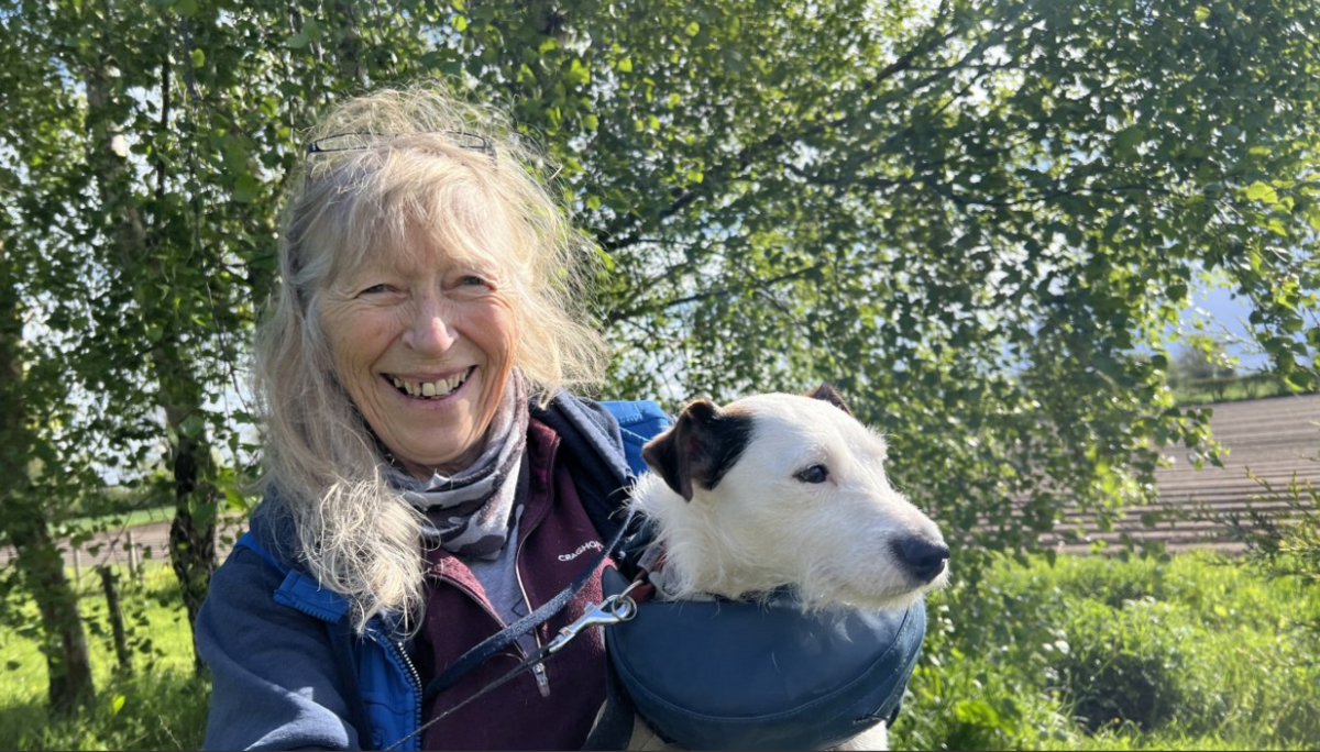 Local Terrier Rescued After Two-Day Ordeal in Rabbit Hole