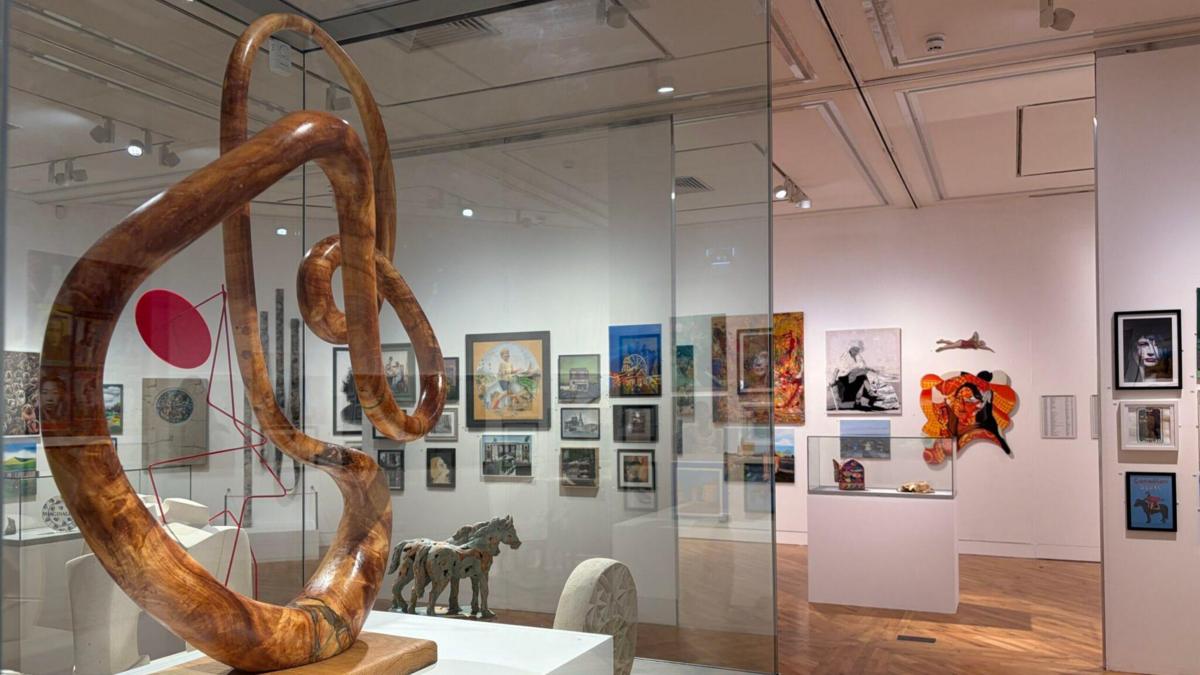 Local Young Artists Invited to Shine at Ferens Art Gallery