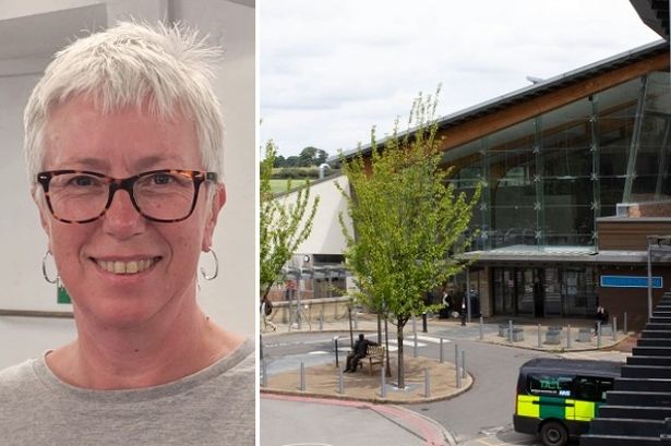 Long-serving Hull Nurse Pippa Barnes Retires After 44 Years of Service