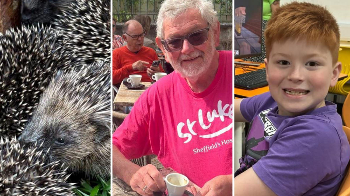 Test Your Knowledge: Yorkshire News Highlights from the Past Week