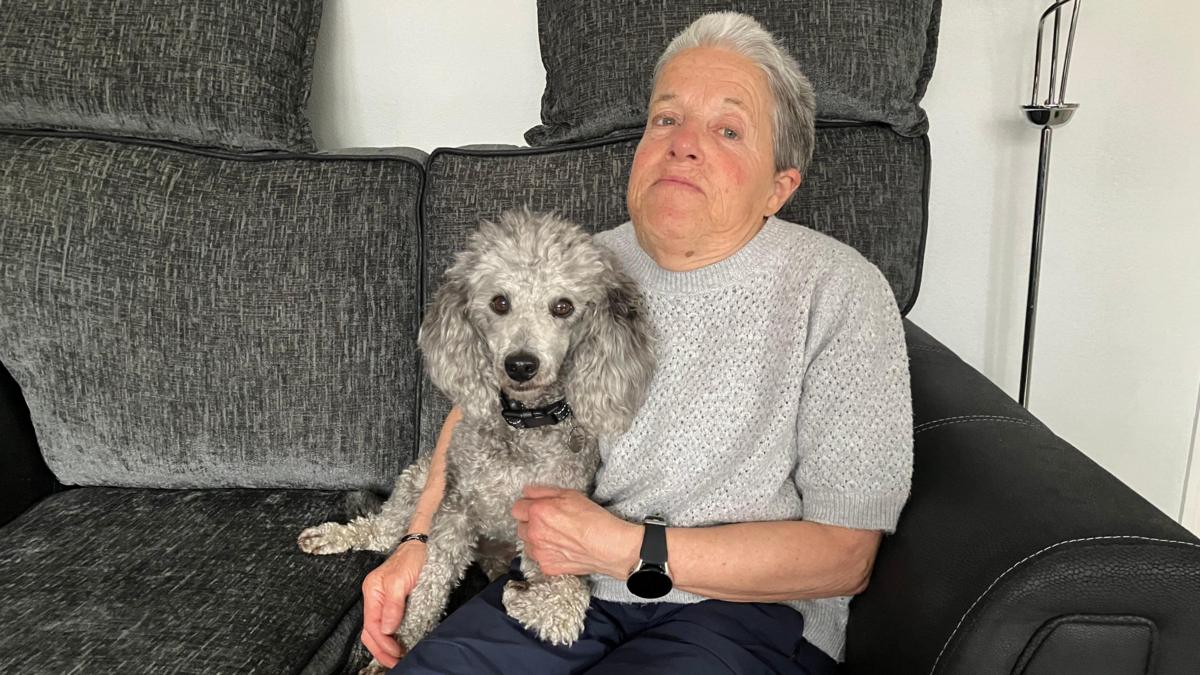 The Life-Changing Impact of Hearing Dogs in East Yorkshire