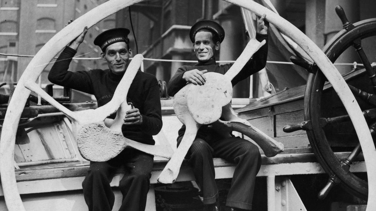 Unearthing Hull's Maritime Legacy: The William Scoresby's Role in Climate Research
