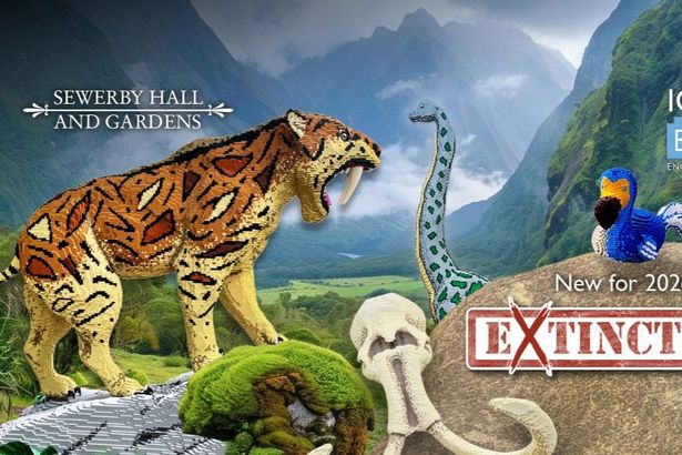 Unleash Your Imagination: New Brick Model Trail Launches This Summer