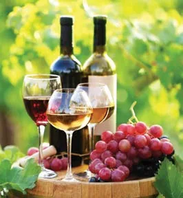 Expert Wine Pairing Tips for Steak and Spicy Dishes